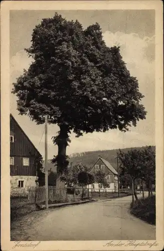 Ak Jonsdorf in Sachsen, An der Hauptstraße, Wohnhäuser, Baum