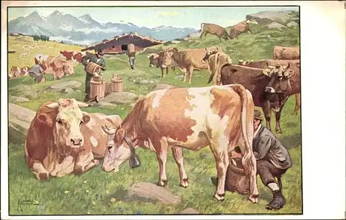 Künstler Ak Bauer beim Kühe Melken, Meinholds Tierbilder
