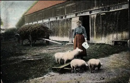 Ak Bauernhof, Bäuerin füttert die Schweine