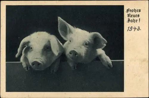 Ak Glückwunsch Neujahr, Zwei Schweine, Ferkel