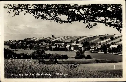 Ak Dittersdorf Saalfelder Höhe Thüringen, Panorama von Ortschaft und Umgebung, Felder