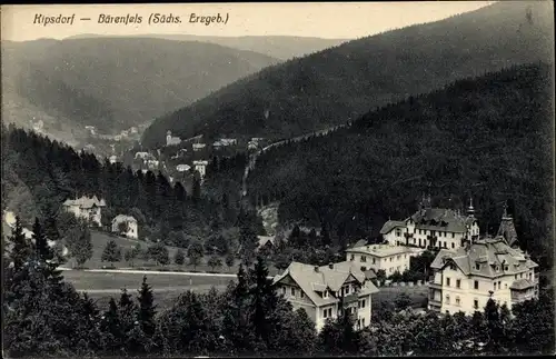 Ak Kipsdorf Altenberg im Erzgebirge, Stadtpanorama, Blick ins Tal