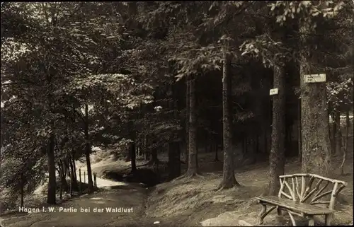 Ak Hagen in Westfalen Ruhrgebiet, Partie bei der Waldlust