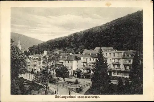 Ak Schlangenbad im Rheingau Taunus Kreis, Pariser Hof, Panorama