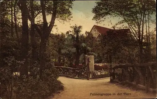 Ak Herne im Ruhrgebiet Nordrhein Westfalen, Palmengruppe in der Flora, Bes. W. Marzina