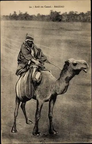 Ak Bagdad Irak, Arab on Camel, Araber reitet auf einem Kamel