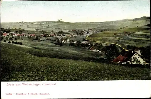 Ak Wellendingen Bonndorf in Baden Württemberg, Panoramaansicht von Ortschaft und Umgebung