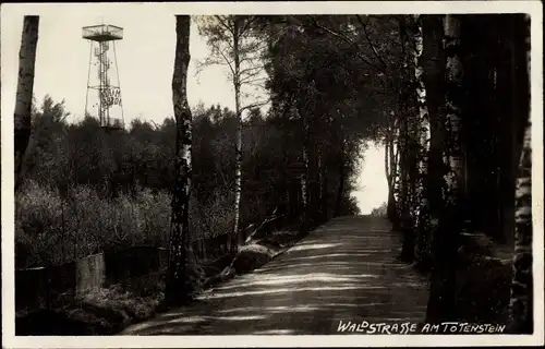 Ak Grüna Chemnitz in Sachsen, Partie auf der Waldstraße am Totenstein, Aussichtsturm