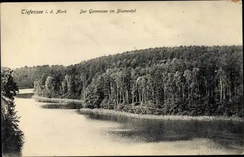 Ak Tiefensee Werneuchen im Kreis Barnim, Blick auf den Gamensee im Blumental