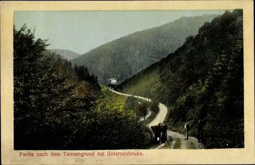 Ak Unterneubrunn Schleusegrund Thüringen, Partie nach dem Tannengrund, Waldlandschaft