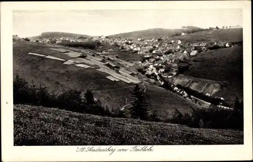 Ak St. Andreasberg Braunlage im Harz, Blick vom Treibholz