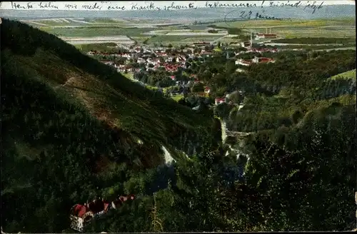 Ak Ilsenburg am Nordharz, Waldpartie mit Blick auf die Ortschaft