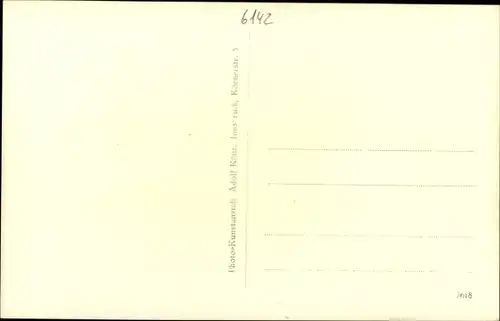 Ak Mieders in Tirol, schöne Detailansicht