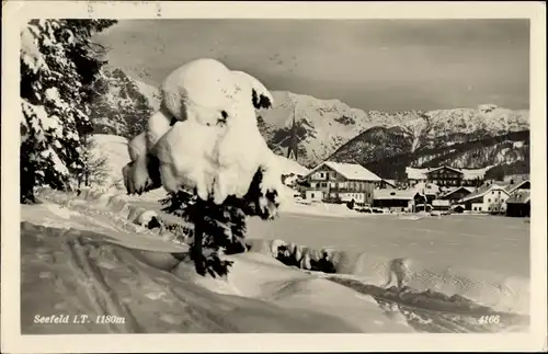 Ak Seefeld in Tirol, schöne Detailansicht