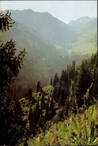 Ak Alma Ata Almaty Kasachstan, Medeo, Talblick, Landschaftsmotiv