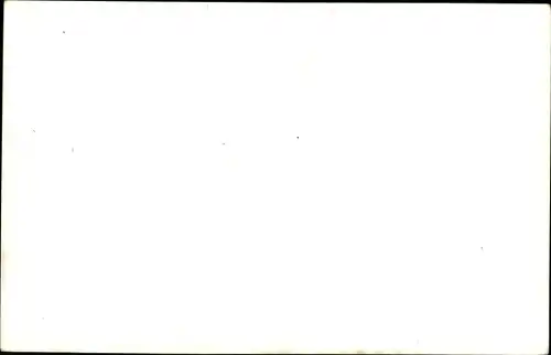 Ak Seefeld in Tirol, schöne Detailansicht