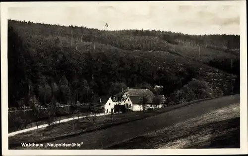 Ak Eisenberg im Saale Holzland Kreis, Blick zum Waldhaus Naupoldsmühle, Besitzer K. Lätsch