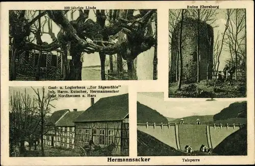 Ak Herrmannsacker in Thüringen, 300jh Linde, Ruine Ebersburg, Gasthaus Zur Sägemühle, Inh. Kutscher