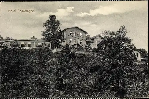 Ak Thale im Harz, Blick zum Hotel Rosstrappe, Wald