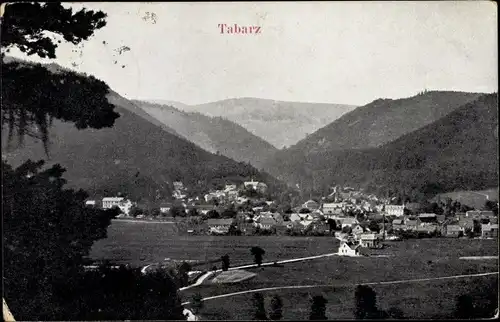 Ak Tabarz im Thüringer Wald, Blick auf den Ort mit Umgebung