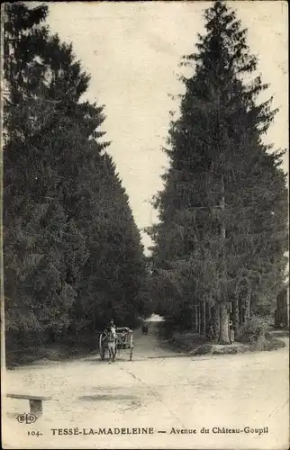 Ak Bagnoles de l'Orne Orne, Tessé la Madeleine, Avenue du Château Goupil