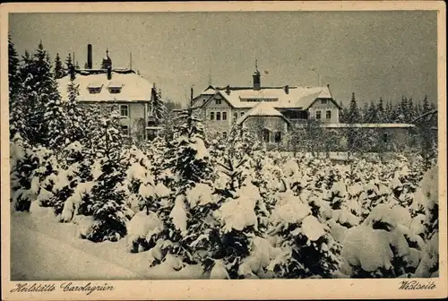 Ak Auerbach im Vogtland Sachsen, Blick zur Heilstätte Carolagrün im Winter