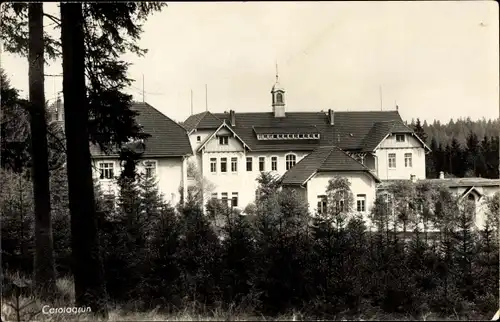 Ak Auerbach im Erzgebirge, Blick auf Carolagrün bei Schönheide, Wald