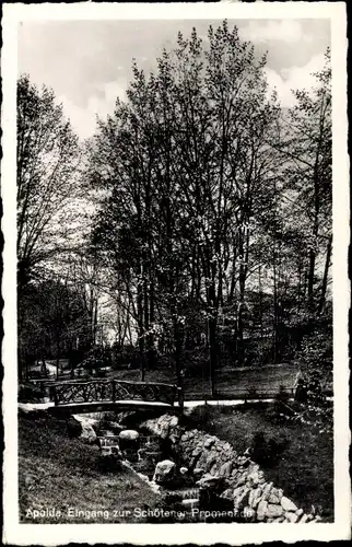 Ak Apolda im Weimarer Land Thüringen, Eingang zur Schötener Promenade, Bach, Holzbrücke