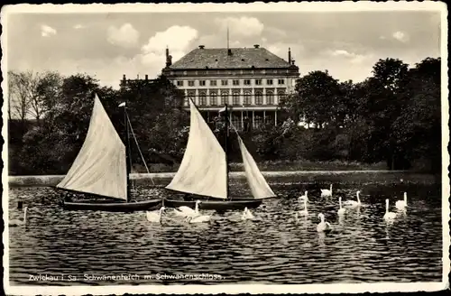 Ak Zwickau in Sachsen, Schwanenteich mit Schwanenschloss, Segelboote