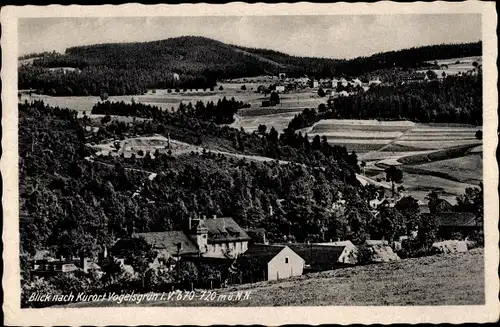 Ak Vogelsgrün Auerbach im Vogtland, Blick nach Kurort Vogelsgrün, Panorama