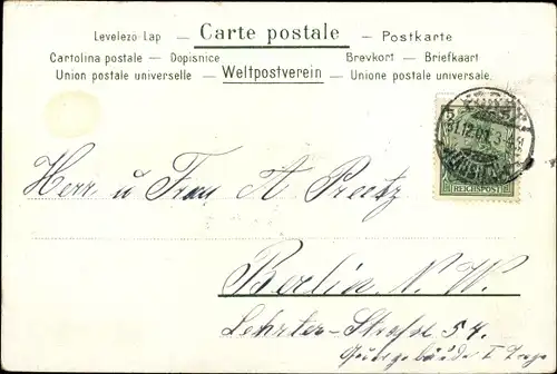 Litho Glückwunsch Neujahr, Engel, Fahrrad, Schweine, 20 Mark Goldmünzen Deutsches Reich 1901