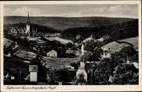 Ak Tannenbergsthal Muldenhammer im Vogtland, Blick auf Ortschaft und Umgebung, Wald