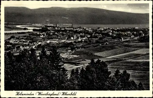 Ak Holzminden in Niedersachsen, Panoramaansicht vom Ort, Höhenbild