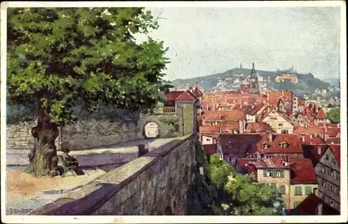 Künstler Ak Tübingen am Neckar Baden Württemberg, Blick von der Schlosslinde