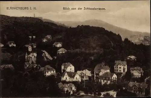 Ak Blankenburg am Harz, Blick von der Schlossterrasse, Panorama