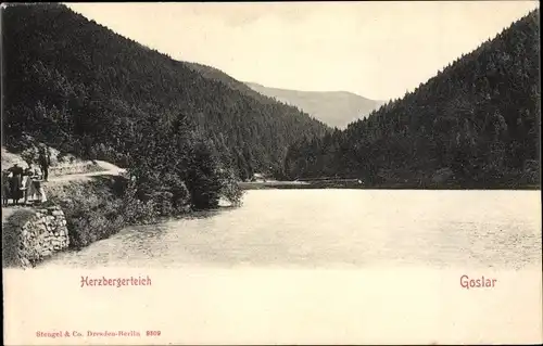 Ak Goslar Niedersachsen, Herzberger Teich, Panorama