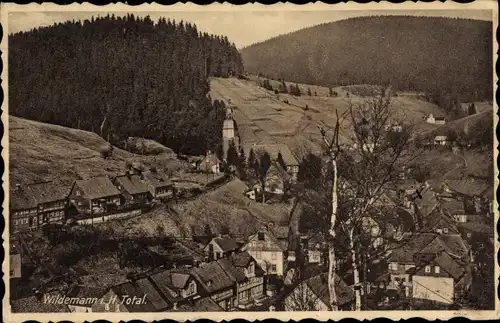 Ak Wildemann Clausthal Zellerfeld im Oberharz, Teilansicht vom Ort, Panorama