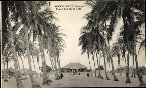 Ak Saint Louis Senegal, Place des Cocotiers, Gebäude, Platz mit Kokospalmen