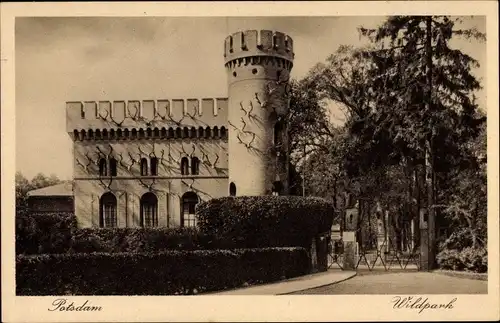 Ak Potsdam in Brandenburg, Partie am Eingang zum Wildpark, Geweihe am Gemäuer