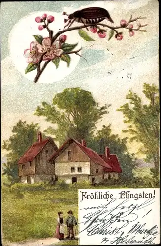 Litho Glückwunsch Pfingsten, Maikäfer auf einem Blütenzweig, Mann und Frau, Bauernhaus