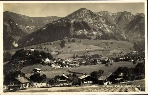 Ak Château d’Oex Kt. Waadt Schweiz, Les Riaux, Ortschaft mit Landschaftsblick