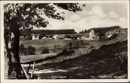 Ak Saig im Schwarzwald, Ortsansicht von der Seite, Straßenpartie