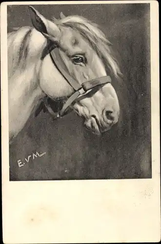 Künstler Ak Pferdeportrait, Pferdekopf mit Zaumzeug