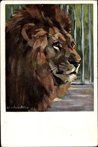 Künstler Ak Löwe in einem Käfig, Löwenkopf mit Mähne