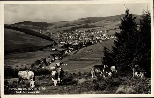 Ak Furtwangen im Schwarzwald, Blick auf den Ort mit Umgebung, Kühe auf der Weide