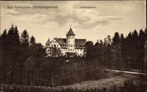 Ak Bad Rothenfelde am Teutoburger Wald, Blick über Bäume zum Weidtmannshof