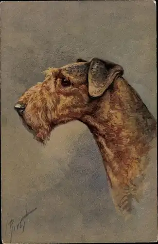 Künstler Ak Hundeportrait, Profilansicht von einem Terrier