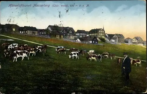 Ak Masserberg im Thüringer Schiefergebirge, Teilansicht vom Ort mit Kühen auf der Weide