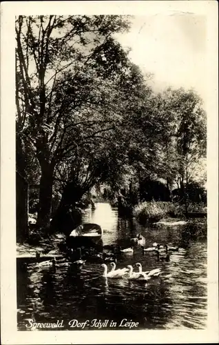 Ak Lübbenau im Spreewald, Idylle in Leipe, Boot, Schwäne