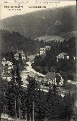 Ak Bärenburg Altenberg im Erzgebirge, Teilansicht vom Ort mit Umgebung